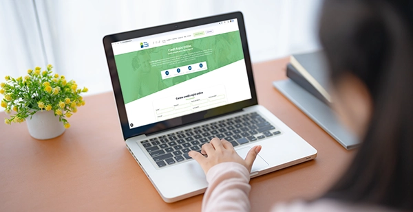 Persoană aplicând pentru credit online rapid pe laptop